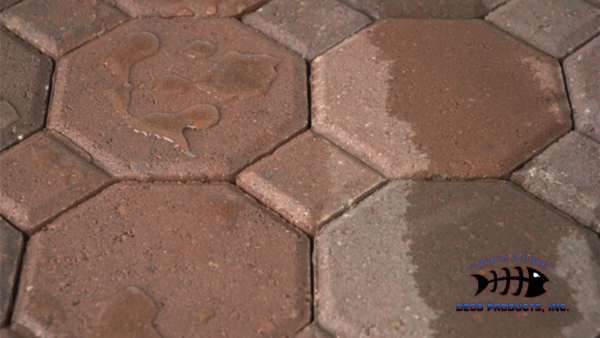 close up of hexagon blocks on ground with water droplets on them