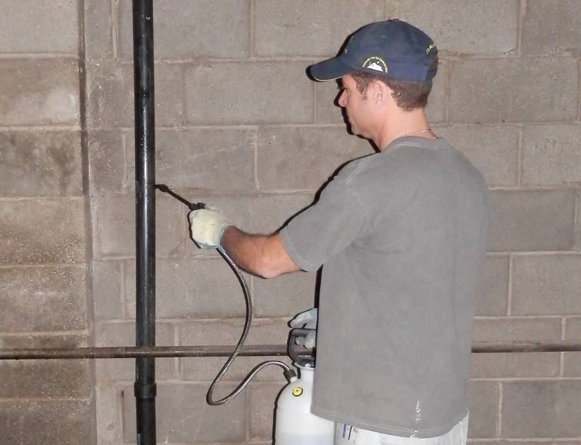 A man spraying solution on wall behind pipes